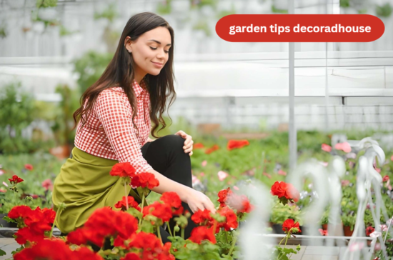 garden tips decoradhouse